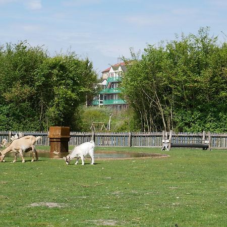 Huize De Duinen Aparthotel Bergen aan Zee Kültér fotó