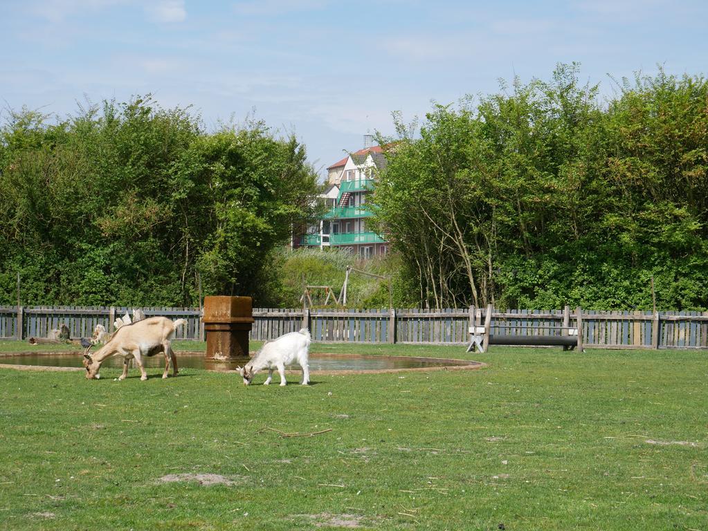 Huize De Duinen Aparthotel Bergen aan Zee Kültér fotó