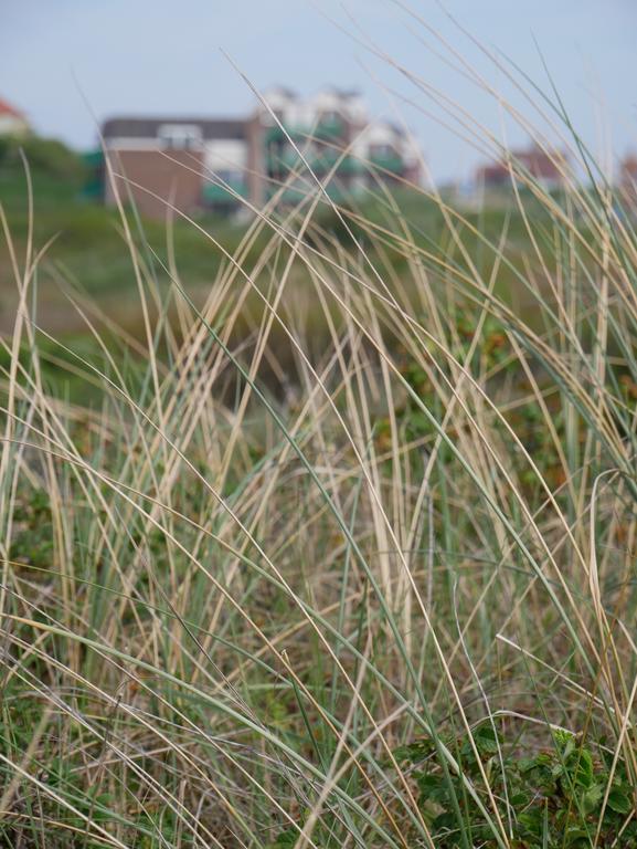 Huize De Duinen Aparthotel Bergen aan Zee Kültér fotó