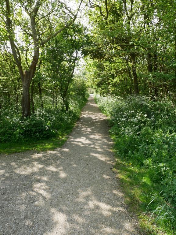 Huize De Duinen Aparthotel Bergen aan Zee Kültér fotó